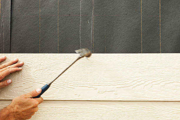Best Siding Painting and Refinishing  in Genoa City, WI